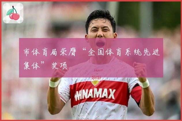 市体育局荣膺“全国体育系统先进集体”奖项